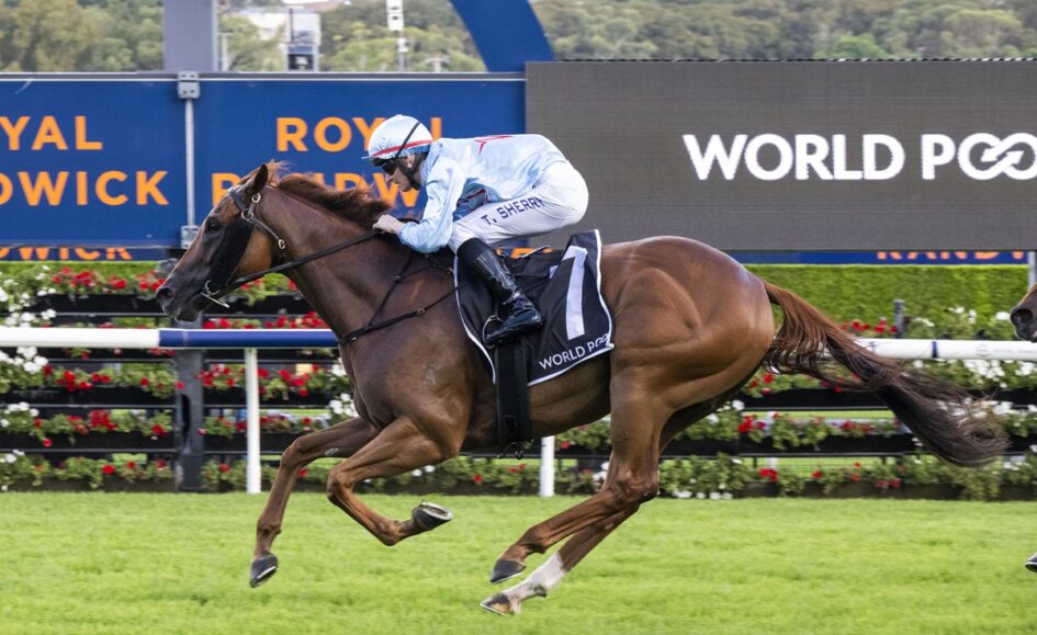 Jockey in pale blue silks rides a brown horse at full gallop on a turf racecourse with a blue signage backdrop reading 'ROYAL' and a 'WORLD' graphic visible behind them.