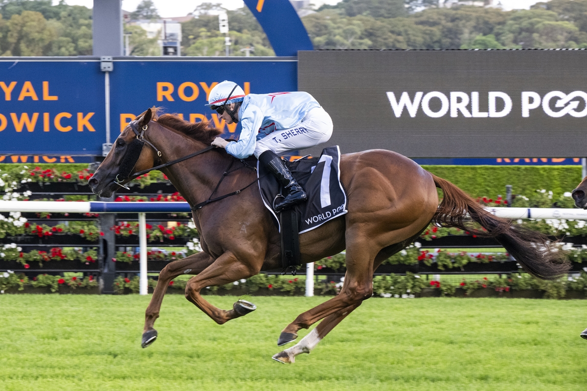 Jockey in pale blue silks rides a brown horse at full gallop on a turf racecourse with a blue signage backdrop reading 'ROYAL' and a 'WORLD' graphic visible behind them.