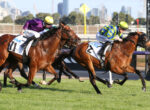 Jockeys in colorful silks ride Thoroughbreds during a crowded turf race, city skyline in background and green track beneath.