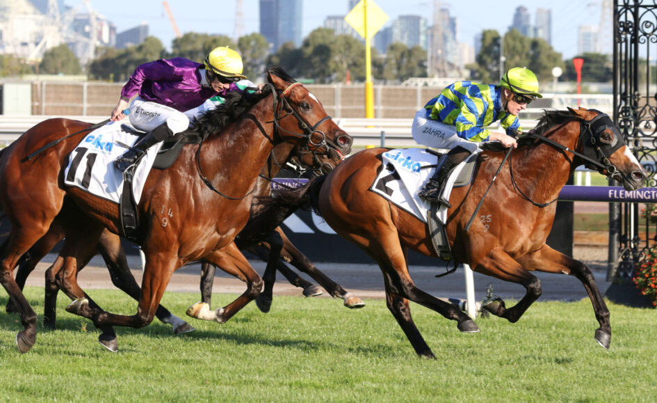 Jockeys in colorful silks ride Thoroughbreds during a crowded turf race, city skyline in background and green track beneath.