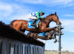 Jockey in green and blue silks riding a horse over a tall hurdle at a racecourse against a blue sky.