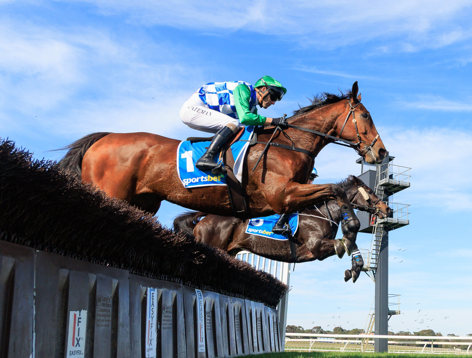 Jockey in green and blue silks riding a horse over a tall hurdle at a racecourse against a blue sky.