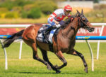 Jockey in red and white silks riding a brown horse at full gallop on a grassy race track, leaning forward in a sprint.