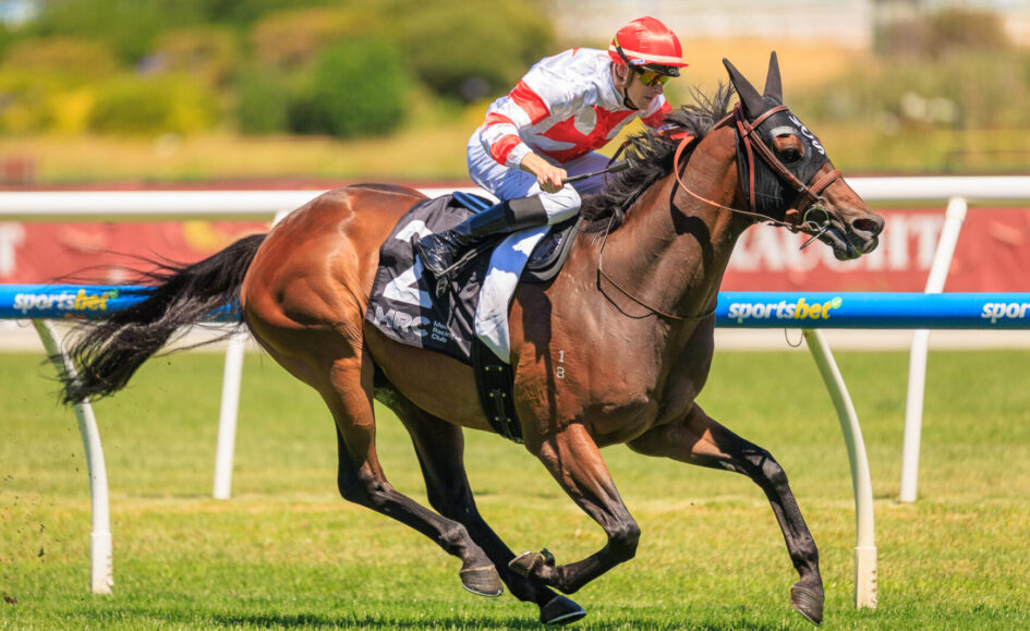 Jockey in red and white silks riding a brown horse at full gallop on a grassy race track, leaning forward in a sprint.