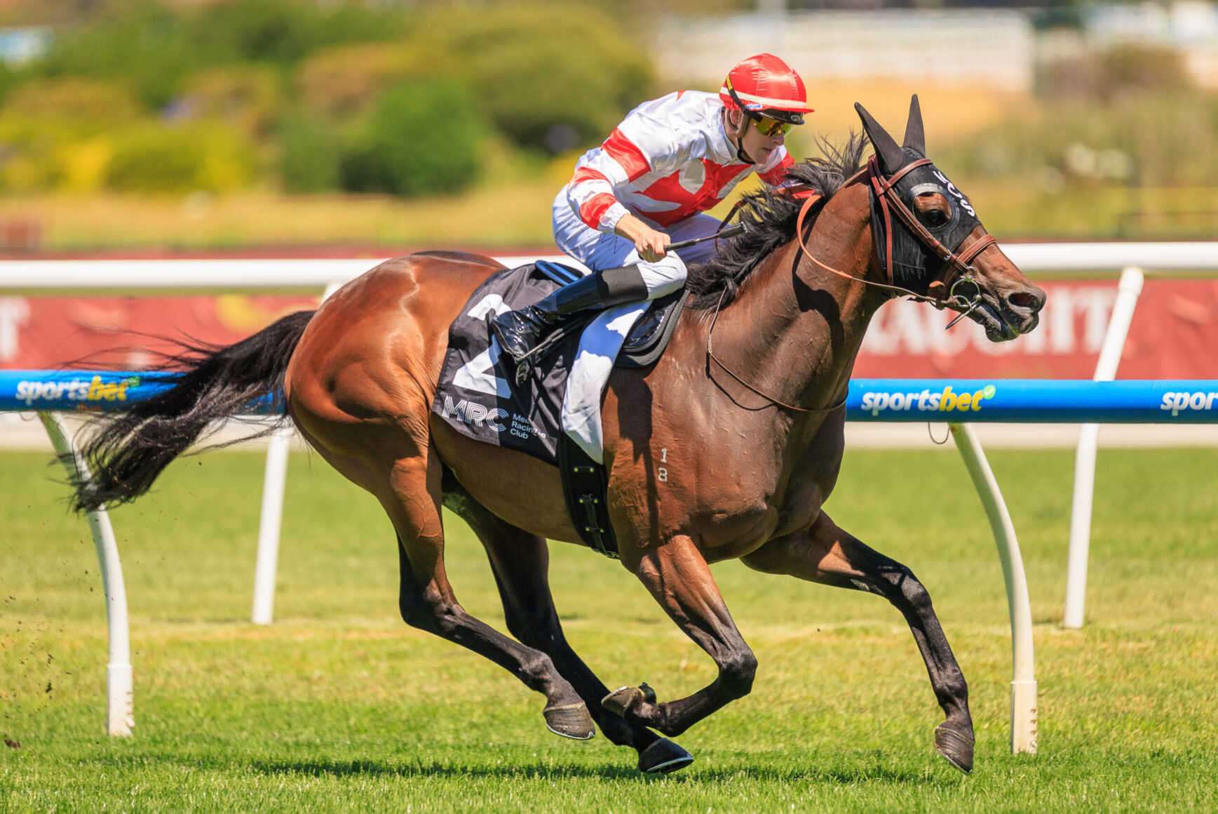 Jockey in red and white silks riding a brown horse at full gallop on a grassy race track, leaning forward in a sprint.