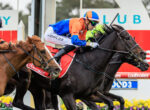 Jockey in orange and blue silks rides a dark horse during a race, leaning forward in a tight group with another horse nearby.