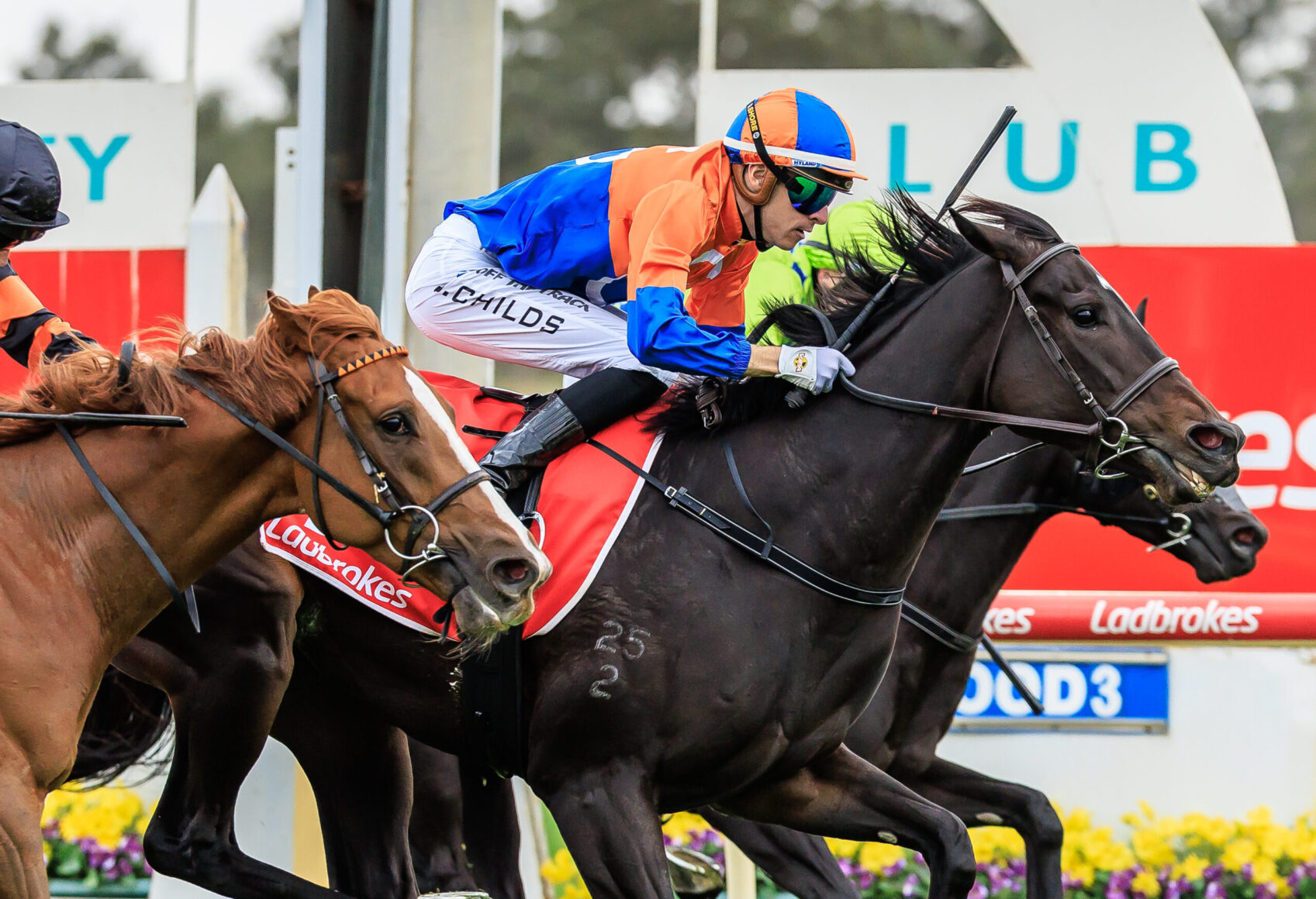 Jockey in orange and blue silks rides a dark horse during a race, leaning forward in a tight group with another horse nearby.