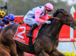 Jockey in pink helmet and sleeves rides a dark horse over the track barriers with other riders close behind.