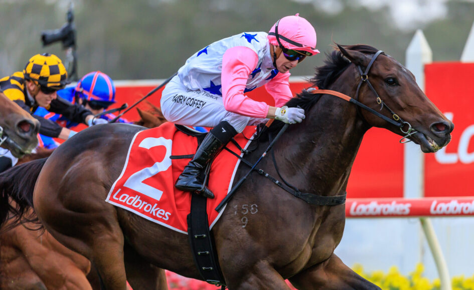 Jockey in pink helmet and sleeves rides a dark horse over the track barriers with other riders close behind.