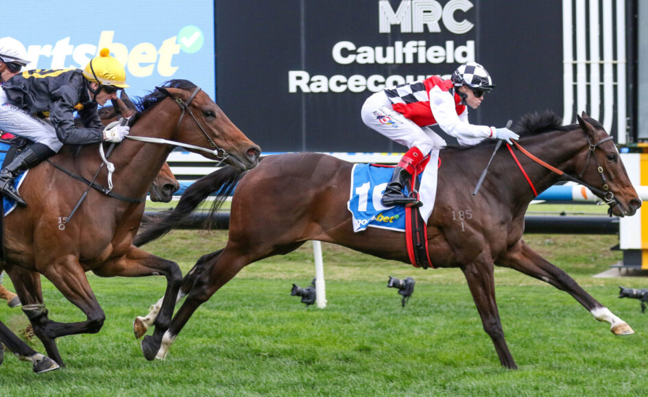Three thoroughbred horses sprint down the turf with jockeys urging them on during a Caulfield Racecourse race behind a large signboard.