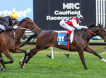 Three racehorses and jockeys sprinting on a grassy track at Caulfield Racecourse, with a blue sponsor sign in the background.