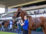 Smiling woman in a blue polo holds a brown horse by the reins at a racecourse paddock.