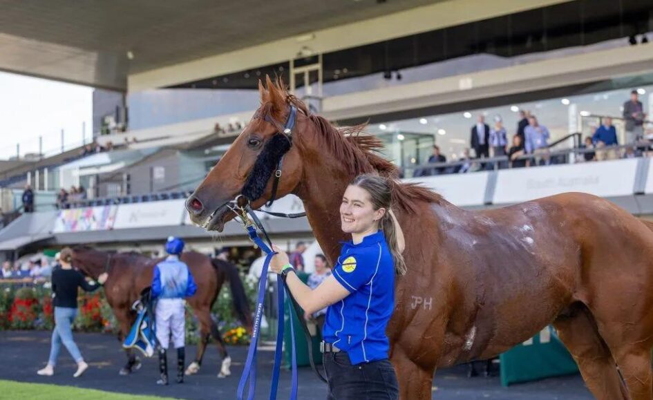 Smiling woman in a blue polo holds a brown horse by the reins at a racecourse paddock.