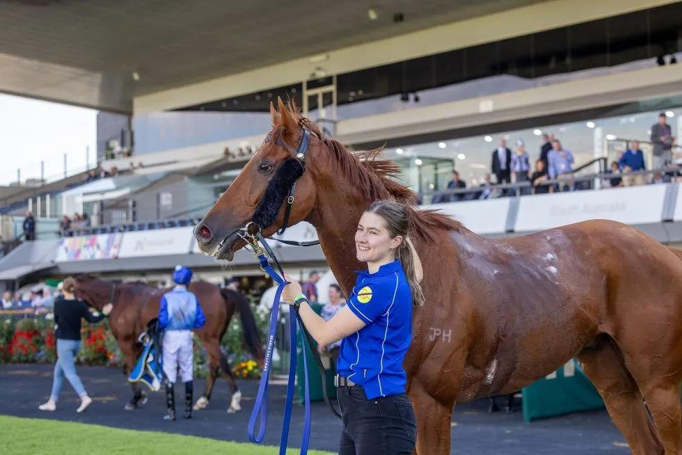 Smiling woman in a blue polo holds a brown horse by the reins at a racecourse paddock.