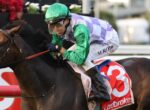 Jockey in green helmet and purple-white checkered silks riding a dark horse mid-jump over a hurdle, Ladbrokes saddlecloth visible on the horse's side.