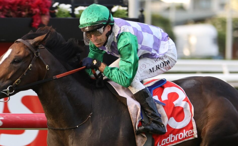 Jockey in green helmet and purple-white checkered silks riding a dark horse mid-jump over a hurdle, Ladbrokes saddlecloth visible on the horse's side.