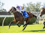 Jockey in purple and white silks rides a galloping brown horse with number 3 on a blue saddlecloth during a race.