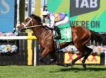Jockey in purple and yellow silks rides a brown horse mid-jump over a hurdle at a racetrack.