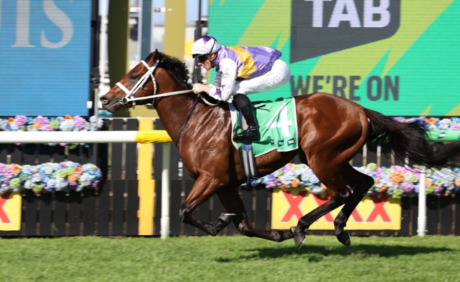 Jockey in purple and yellow silks rides a brown horse mid-jump over a hurdle at a racetrack.