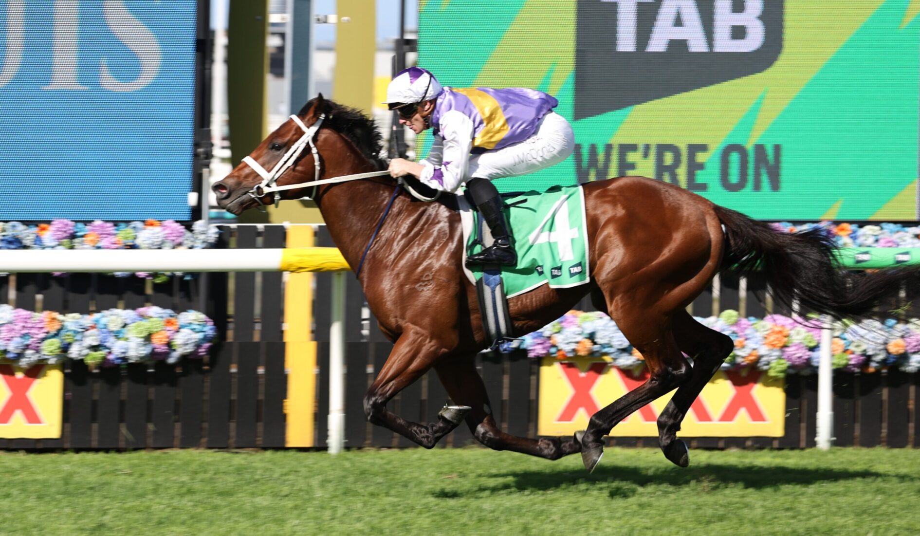 Jockey in purple and yellow silks rides a brown horse mid-jump over a hurdle at a racetrack.