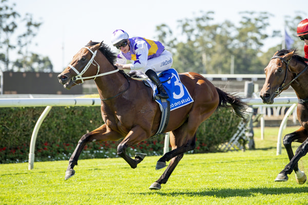 Jockey in purple and white silks rides a galloping brown horse with number 3 on a blue saddlecloth during a race.