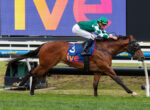 Horse and jockey mid-jump over a hurdle in a race; rider in green and white silks and a green cap.