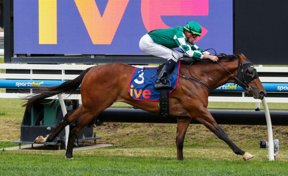 Horse and jockey mid-jump over a hurdle in a race; rider in green and white silks and a green cap.