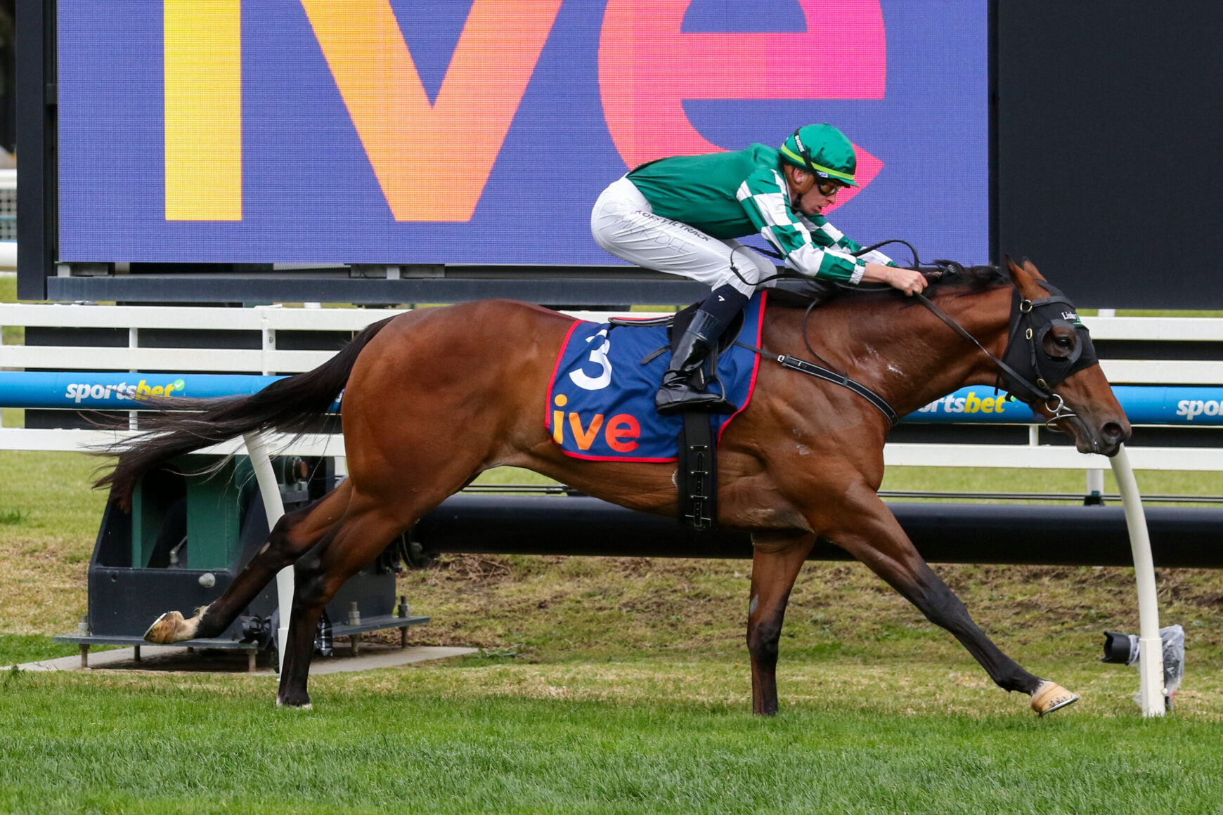 Horse and jockey mid-jump over a hurdle in a race; rider in green and white silks and a green cap.