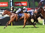 Jockeys in colorful silks ride brown horses in a close horse race on a sunny grassy track, with Ladbrokes banners in the background.