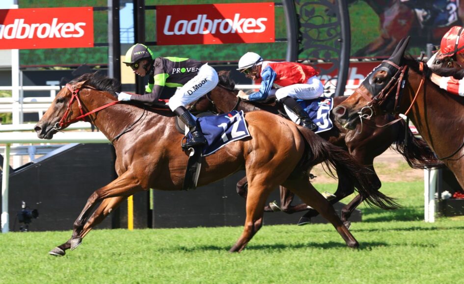 Jockeys in colorful silks ride brown horses in a close horse race on a sunny grassy track, with Ladbrokes banners in the background.
