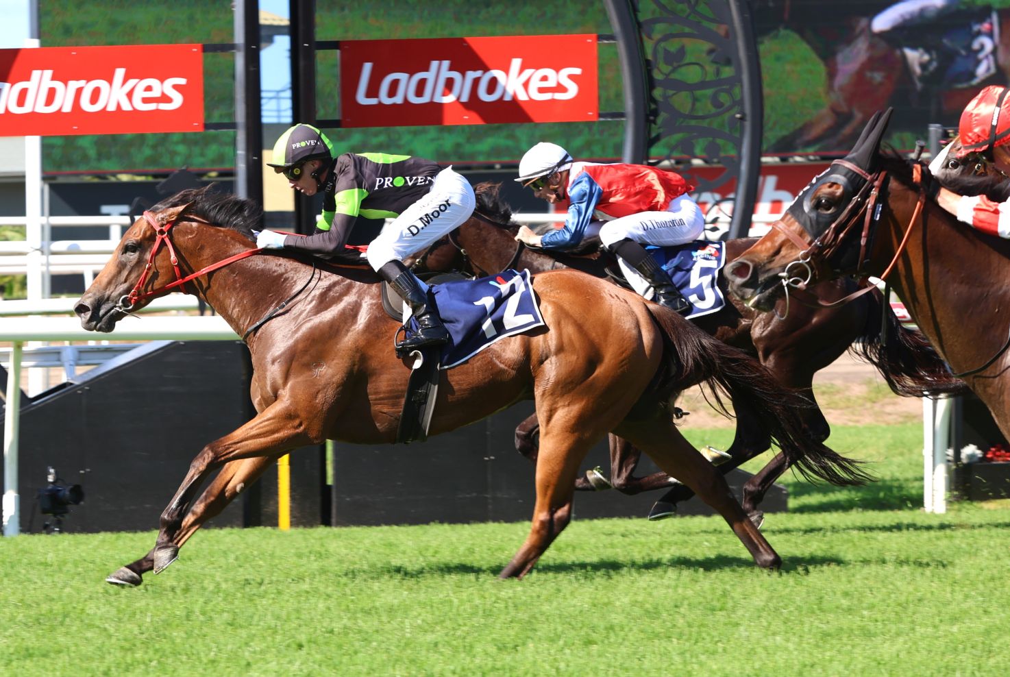 Jockeys in colorful silks ride brown horses in a close horse race on a sunny grassy track, with Ladbrokes banners in the background.