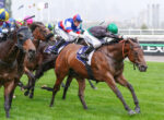 Jockeys in colorful silks race atop galloping horses on a lush green turf track.