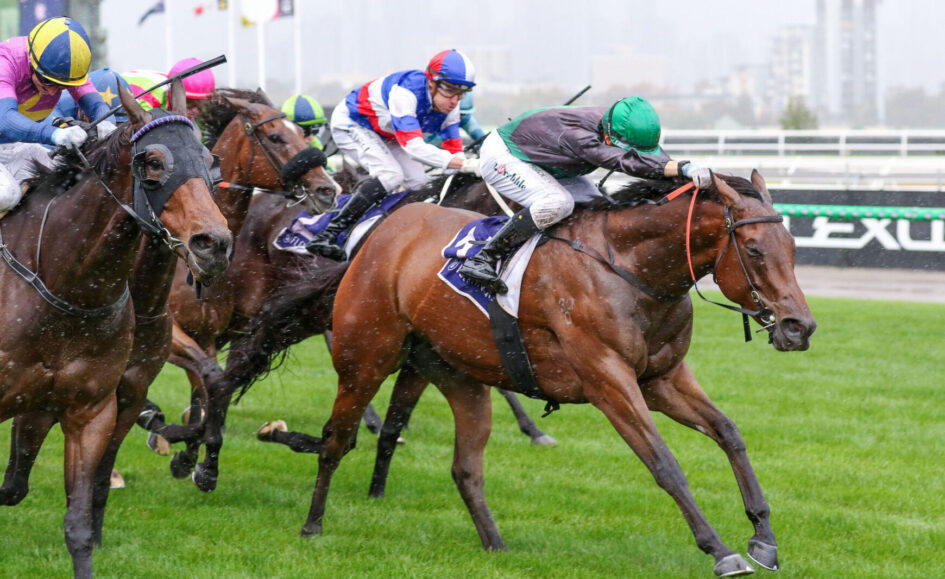 Jockeys in colorful silks race atop galloping horses on a lush green turf track.
