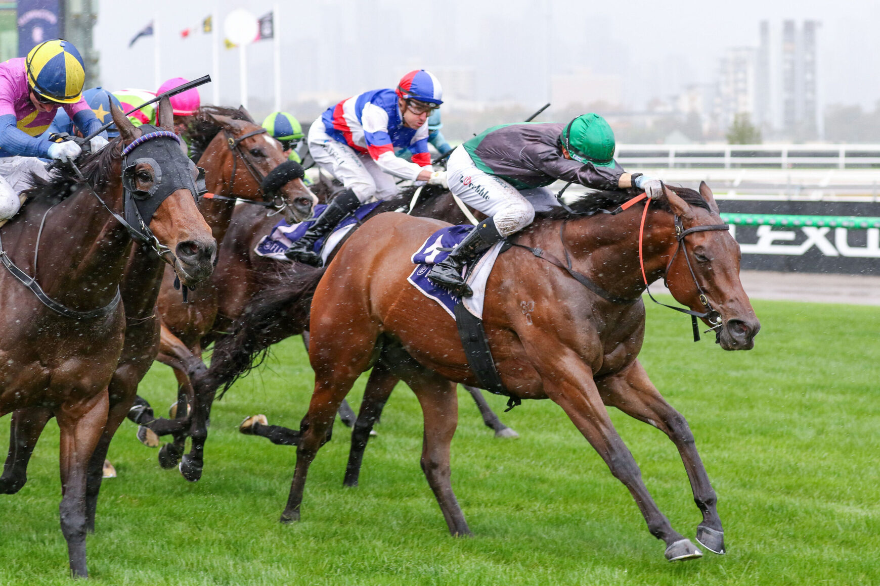 Jockeys in colorful silks race atop galloping horses on a lush green turf track.