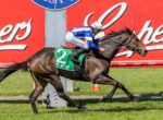 Dark brown racehorse with green saddlecloth #2 gallops on a grassy track; jockey in blue-yellow silks and white helmet rides it at full speed with red advertising boards in the background.