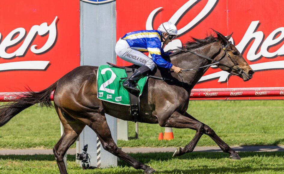 Dark brown racehorse with green saddlecloth #2 gallops on a grassy track; jockey in blue-yellow silks and white helmet rides it at full speed with red advertising boards in the background.