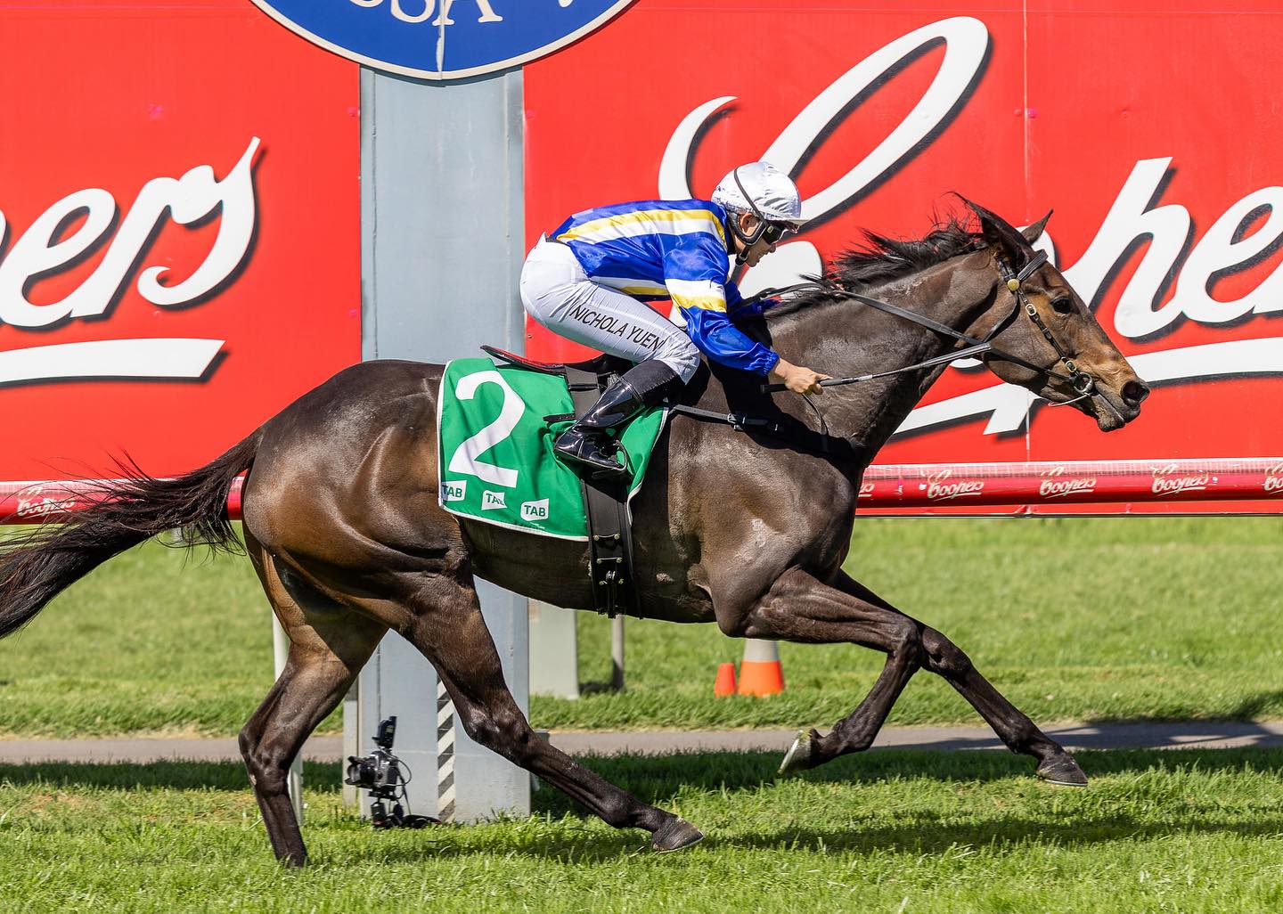 Dark brown racehorse with green saddlecloth #2 gallops on a grassy track; jockey in blue-yellow silks and white helmet rides it at full speed with red advertising boards in the background.