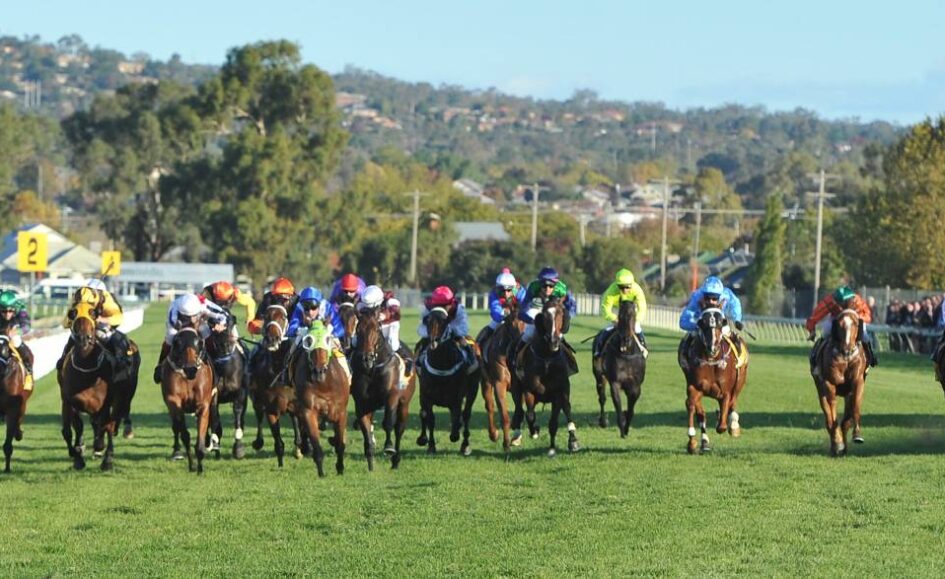 Crowded horse race on a grassy track with colorful jockey silks and yellow marker boards in the background.