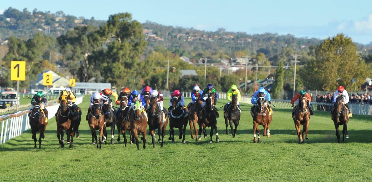 Crowded horse race on a grassy track with colorful jockey silks and yellow marker boards in the background.