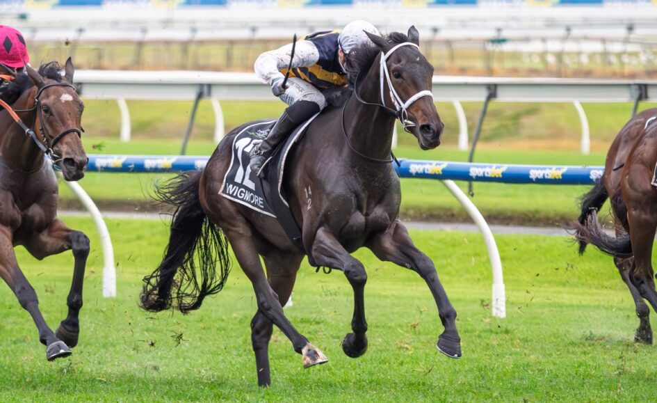 Dark bay racehorse with a jockey in white and black silks charging down the track on a green turf field edge.