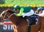 Brown racehorse with white bridle ahead, three jockeys in green, blue, and yellow racing to the finish line in a close pack