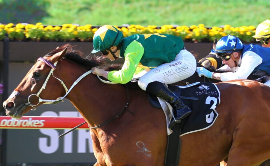 Brown racehorse with white bridle ahead, three jockeys in green, blue, and yellow racing to the finish line in a close pack