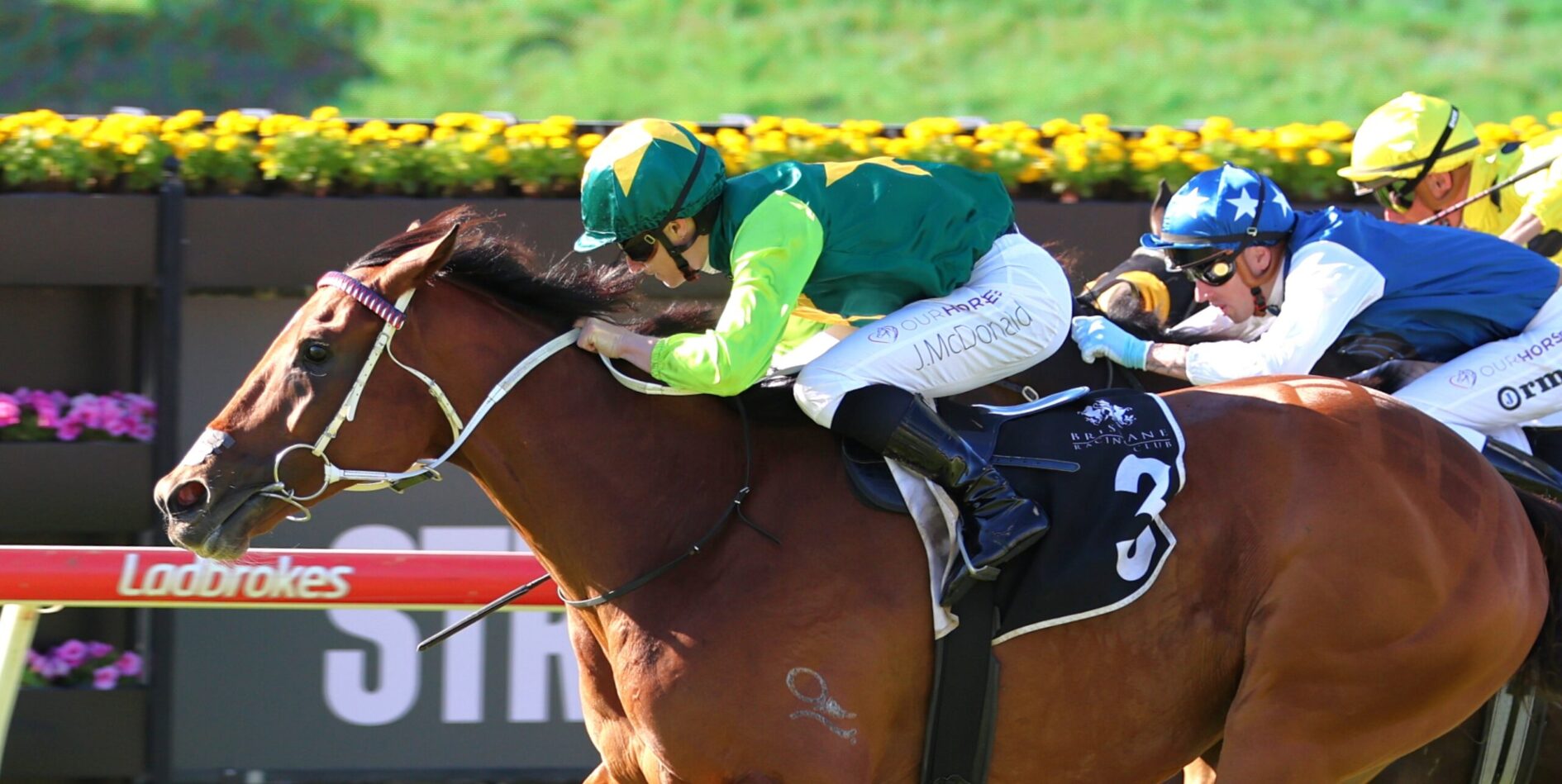 Brown racehorse with white bridle ahead, three jockeys in green, blue, and yellow racing to the finish line in a close pack