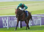 Horse and jockey in green silks jump over a hurdle on a grassy racetrack