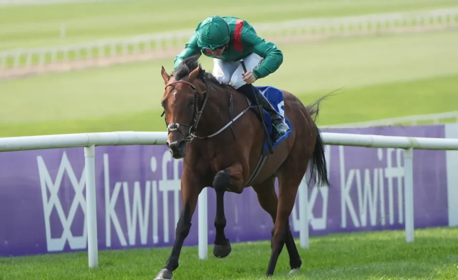 Horse and jockey in green silks jump over a hurdle on a grassy racetrack