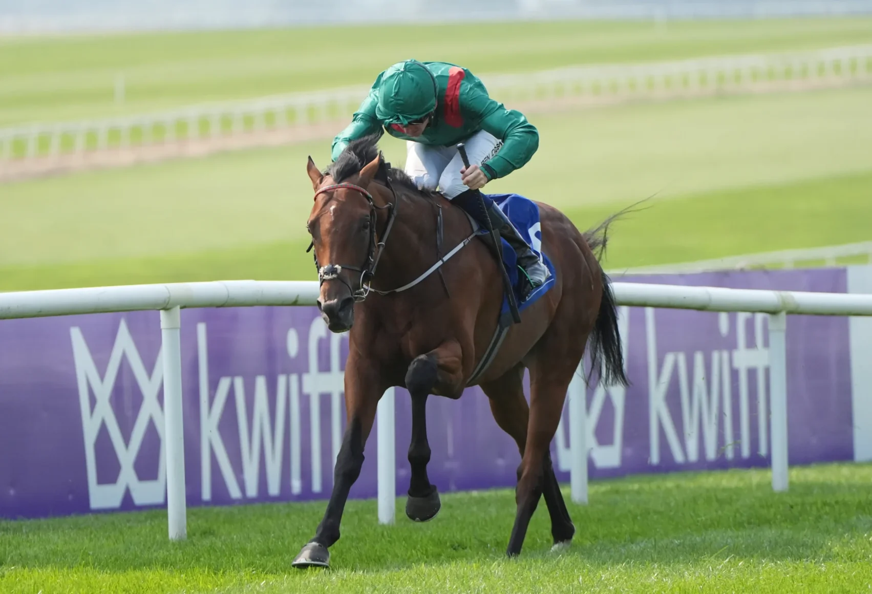 Horse and jockey in green silks jump over a hurdle on a grassy racetrack