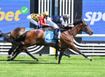 Three jockeys race full tilt on thoroughbreds, blue sponsor boards in the background and lush green turf beneath them.