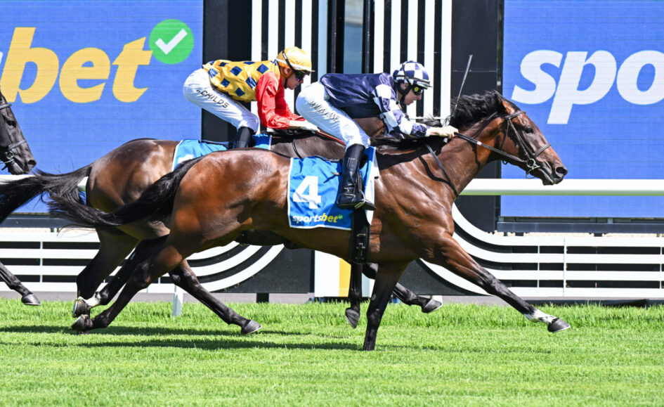 Three jockeys race full tilt on thoroughbreds, blue sponsor boards in the background and lush green turf beneath them.