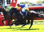 Three jockeys in colorful silks ride racing horses at full gallop on a sunny turf track, mid-race action.