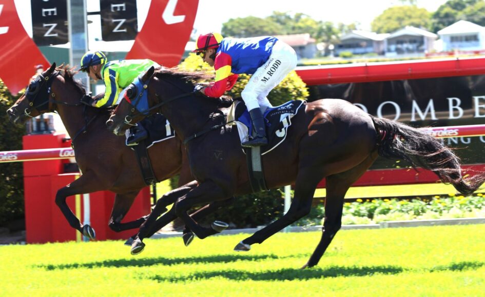 Three jockeys in colorful silks ride racing horses at full gallop on a sunny turf track, mid-race action.